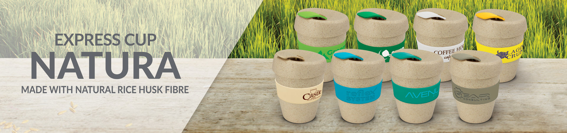 Eco Cups